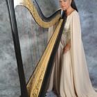 Harfový koncert